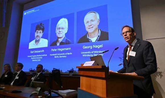 Nobel de Medicina reconhece pesquisas que controlam neurônios com luz