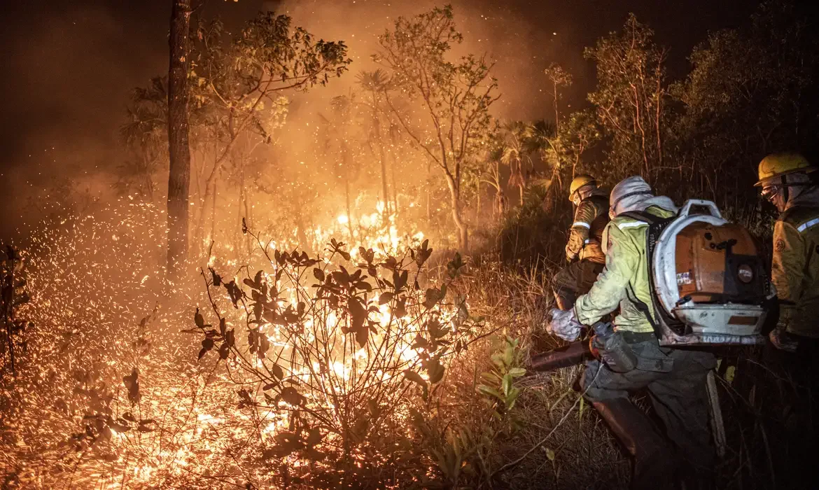 Amazonas registra 540 focos de incêndio em 48 horas.
