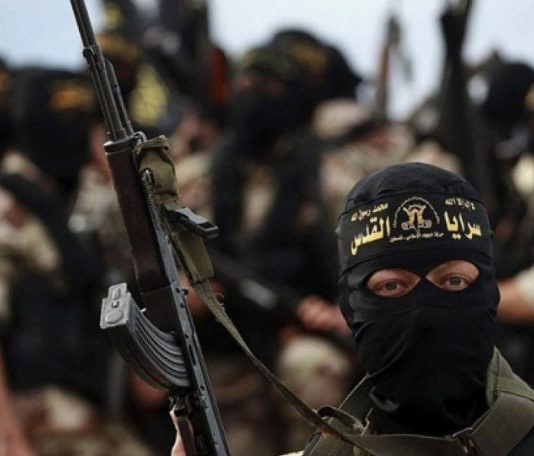 Terrorismo e Estratégia Racional: Como Ataques de Lobos Solitários Buscam Gerar Medo e Pressão Política