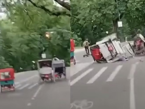 Turista morre em acidente com charrete no Central Park
